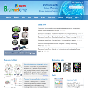 Brainnetome Center Institute of Automation,Chinese Academy of Sciences