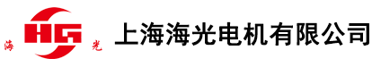 上海海光电机有限公司